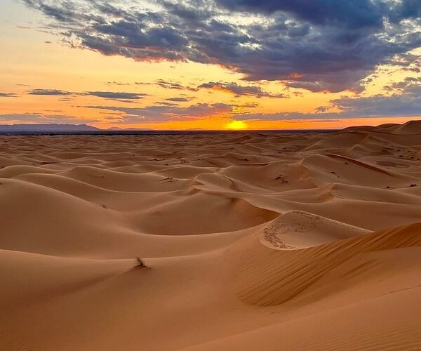 2-Day Marrakech to Zagora Desert Tour A Popular Choice