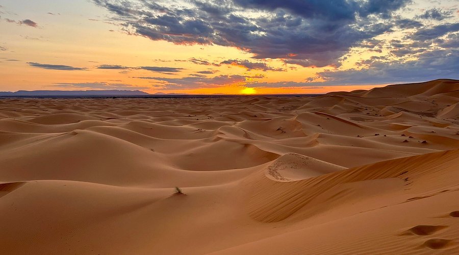 2-Day Marrakech to Zagora Desert Tour A Popular Choice