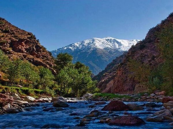 Marrakech Full-Day Ourika Valley Excursion from Marrakech