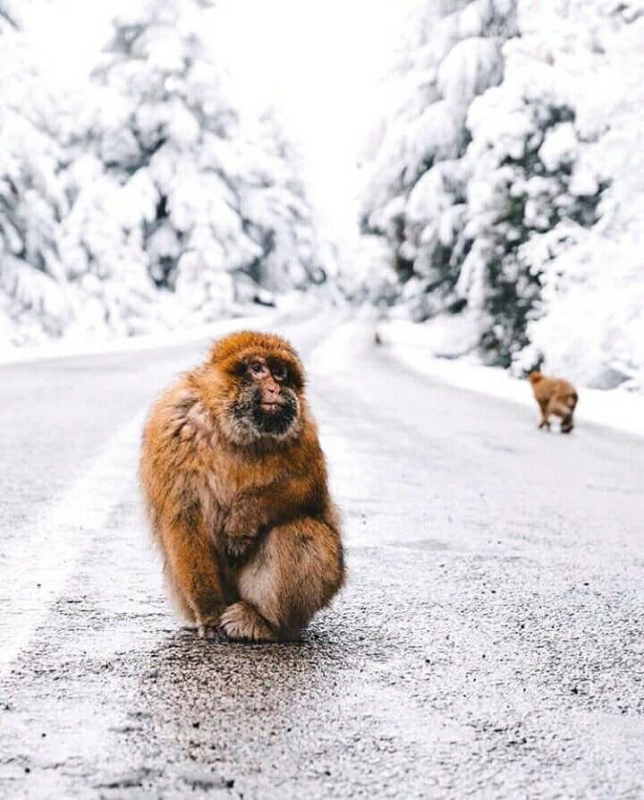 Fes to Merzouga tour