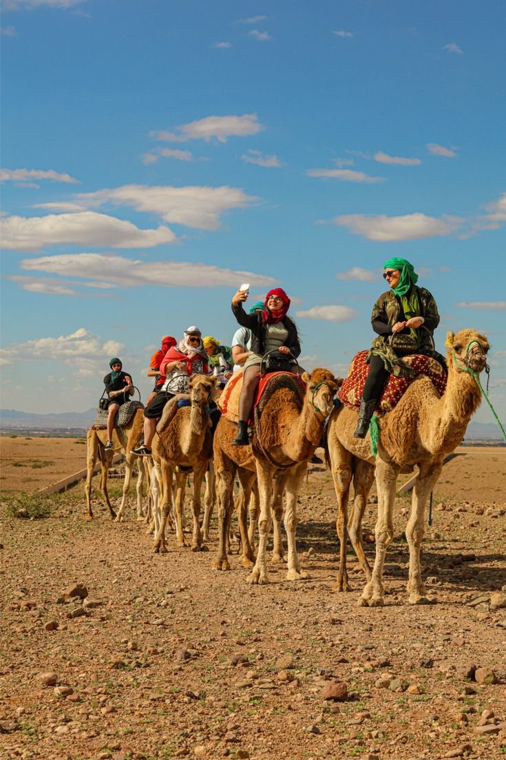 Best Time for a Camel Ride in Marrakech