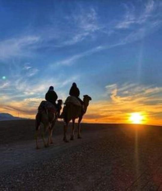 Camel Ride at Sunset in Marrakech