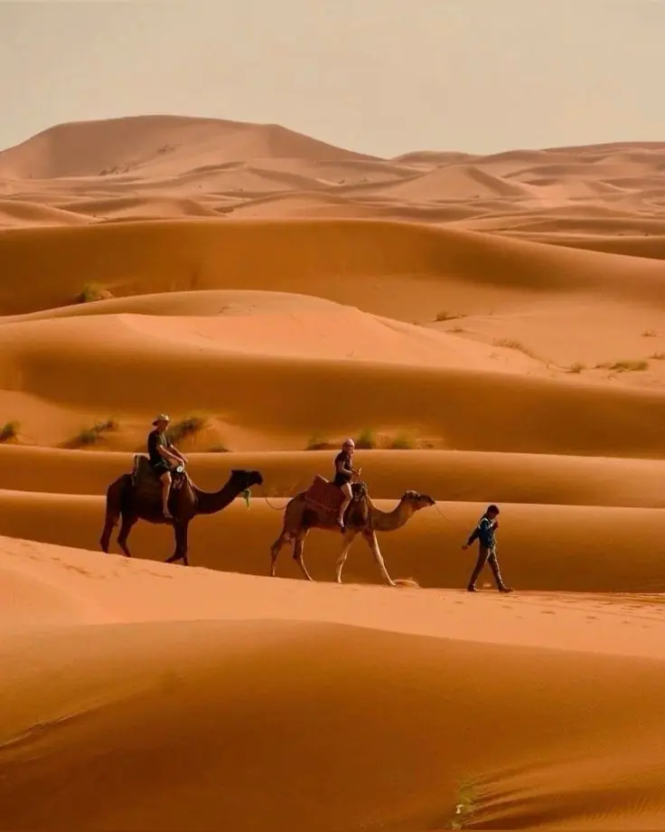 Moroccan Desert