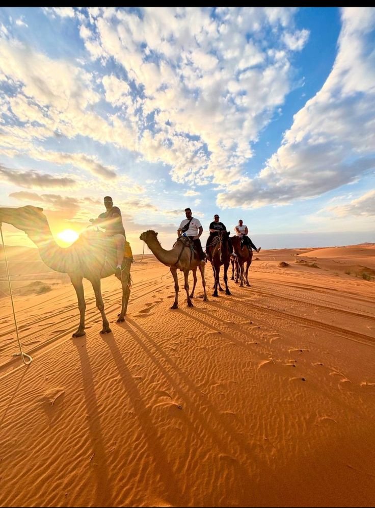 Best Time for a Camel Ride in Marrakech