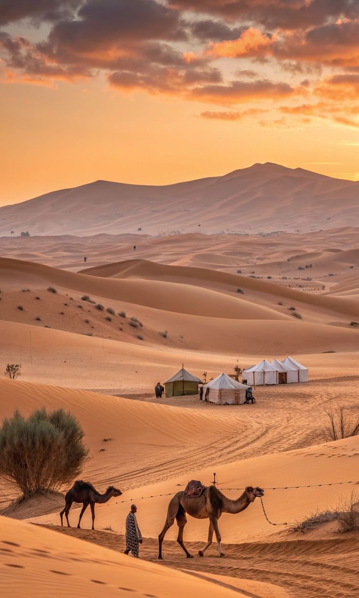 Morocco Desert Tours