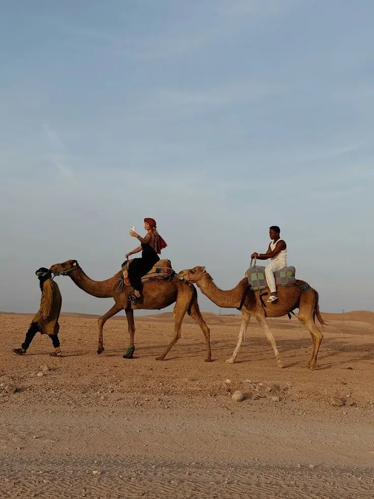 Camel Ride Marrakech Prices