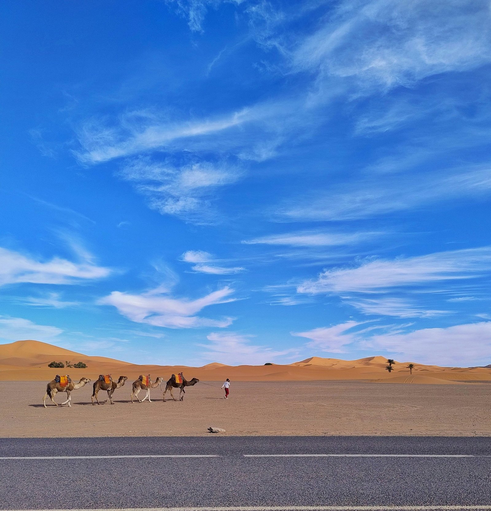 Morocco Travel Packages