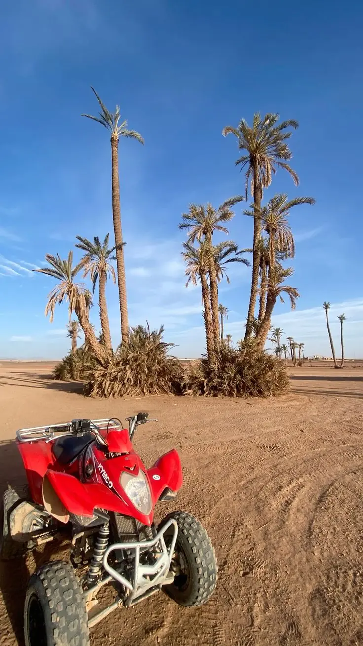 3 Hours Quad Biking in the Agafay Desert