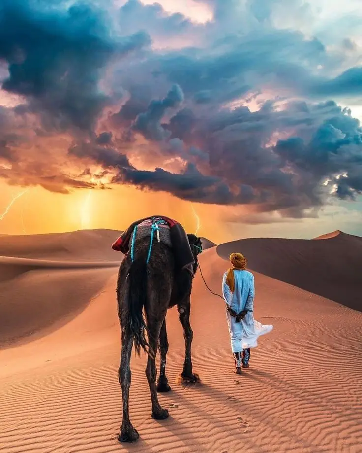 Camel Ride Marrakech Prices