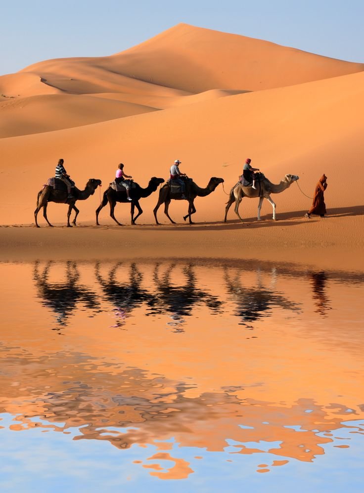 Best Time for a Camel Ride in Marrakech