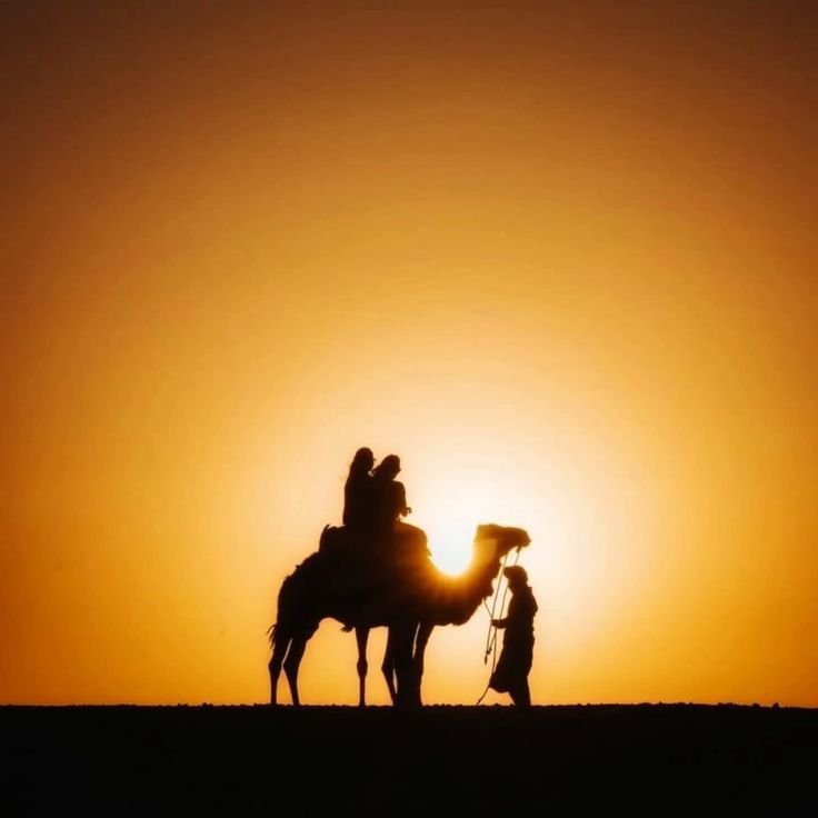 Camel Ride at Sunset in Marrakech