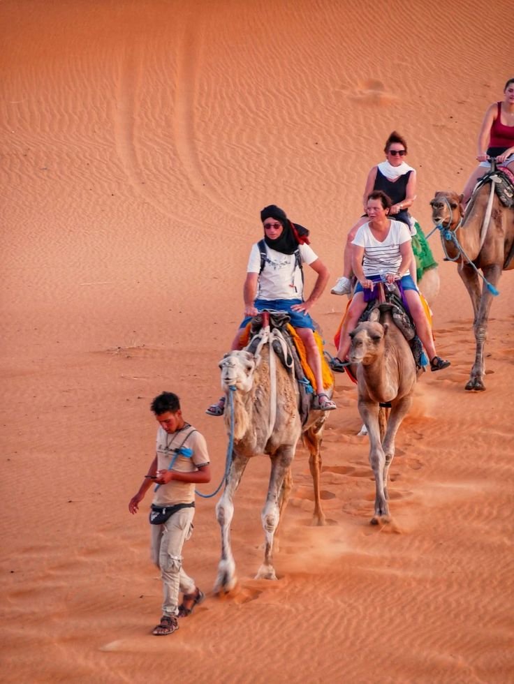 Marrakech camel ride
